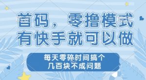 首码零撸项目，有快手就可以做，每天业务时间搞个几张不是问题【揭秘】-柯南聊项目