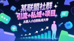 某联盟社群，引流+私域+项目，从新人小白到私域大神-柯南聊项目