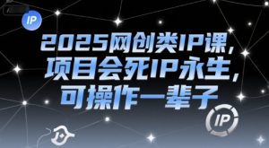 2025网创类IP课，项目会死IP永生，可操作一辈子-柯南聊项目