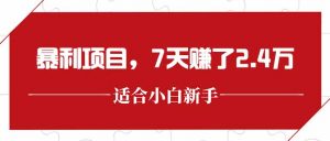 最新暴利项目，每单收益轻松在300以上，7天赚了2.4万-柯南聊项目