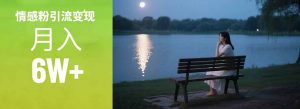 情感粉引流变现实操课：单月变现6w+，情感粉引流变现实操课-柯南聊项目