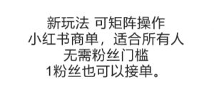 可矩阵操作，小红书商单新玩法，适合所有人，无需粉丝门槛，1粉丝也可以接单-柯南聊项目