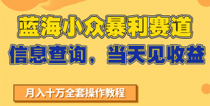 蓝海小众暴利赛道，信息查询，当天见收益，不讲玄学，7天搞了2万+-柯南聊项目