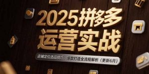 2025拼多多运营实战:店铺定位选品技巧,爆款打造全流程解析(更新6月-柯南聊项目