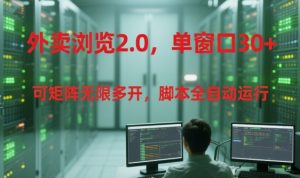 外卖浏览2.0，单窗口30+可矩阵无限多开，脚本全自动运行【揭秘】-柯南聊项目