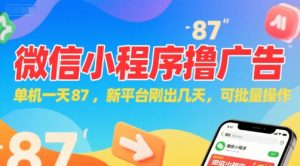 微信小程序看广告，单机一天87，新平台刚出几天，可批量操作，日入5张-柯南聊项目