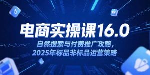 淘宝电商运营课16.0，自然搜索与付费推广攻略，2025年标品非标品运营策略-柯南聊项目
