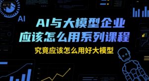 AI与大模型企业应该怎么用系列课程，究竟应该怎么用好大模型-柯南聊项目