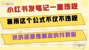 小红书发笔记一直违规,套用这个公式不仅不违规,来的还都是精准的付费粉-柯南聊项目