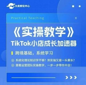 大卖家孵化中心TikTok实操课，TikTok小店成长加速器，跨境基础系统学习，一步一步带你开店-柯南聊项目