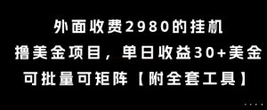 外面收费2980的挂G撸美金项目，单日收益30+美金，可批量可矩阵【揭秘】-柯南聊项目