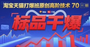 淘宝天猫打爆班原创高阶技术第70期：标品干爆-柯南聊项目