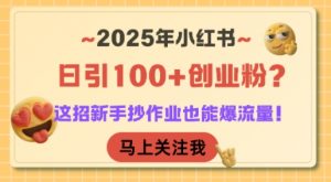2025年小红书日引100+创业粉？这招新手抄作业也能爆流量！-柯南聊项目