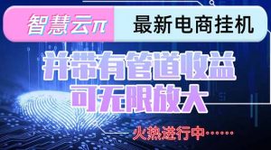 智慧云π电脑挂机单机每天收益300—500+ 并带有团队管道收益 可无限放大-柯南聊项目