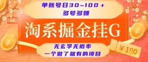 淘系掘金挂G项目,单账号日收益30~100+,多号多得,一个做了就有的项目【揭秘】-柯南聊项目