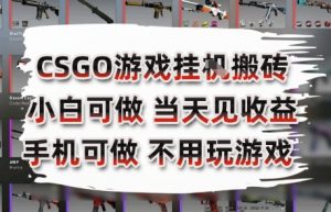 CSGO游戏挂G搬砖，小白纯手机即可操作，不用电脑打游戏，日入3张+，副业网创项目【揭秘】-柯南聊项目