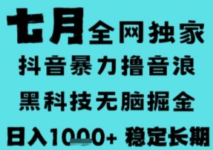 7月最新风口抖音无人直播撸音浪，长期稳定，非短期，全自动运行，低门槛无脑，日入1k+【揭秘】-柯南聊项目