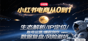 小红书电商从0到1：生态解析/IP定位/ 账号运营/爆款创作/直播带货/数据复盘/风险避坑-柯南聊项目