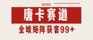 唐卡赛道私域引流获客 自热矩阵SOP日引流99+精准客资-柯南聊项目