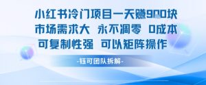 小红书冷门项目一天收益9张，市场需求大，0成本，可复制性强可以矩阵操作-柯南聊项目