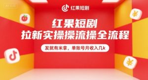 红果短剧拉新实操全流程，发就有米拿，单账号月收入几k-柯南聊项目