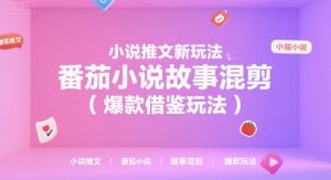 小说推文新玩法，番茄小说故事混剪(爆款借鉴玩法)-柯南聊项目