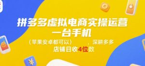 拼多多虚拟电商实操运营，一台手机(苹果安卓都可以)，深耕多多店铺日收4位数-柯南聊项目