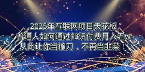 2025年互联网项目天花板，普通人如何通过卖项目实现逆风翻盘，月入5W＋！-柯南聊项目