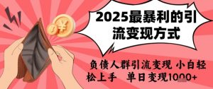 2025年最暴利的引流变现方式，负债人群引流变现，小白轻松上手，日入1k-柯南聊项目