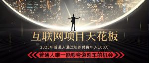 2025“互联网项目天花板”：不做韭菜，做镰刀！“月入 10W+ 普通人弯道…-柯南聊项目