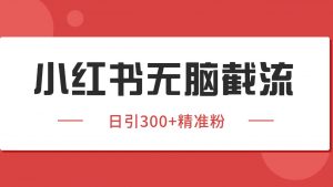 小红书截流同行客源，独家野路子获客玩法 日引200+暴力获客-柯南聊项目