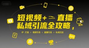 短视频+直播私域引流全攻略，IP打造 +视频引流 +直播引流 +私域沉淀-柯南聊项目