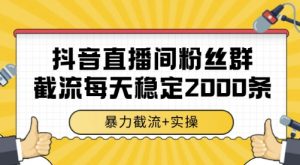 抖音直播间粉丝群截流，稳定采集数据全行业通用 2000条数据一天【揭秘】-柯南聊项目