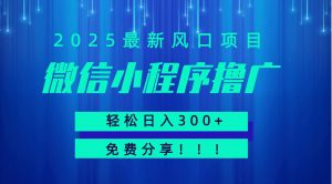 微信小程序撸广，最新风口项目，日入300+ 免费分享 可批量操作 小白可轻松上手！！-柯南聊项目