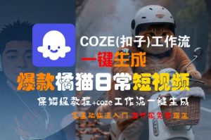 COZE(扣子)工作流一键生成爆款橘猫日常短视频，保姆级教程，零基础快速入门-柯南聊项目