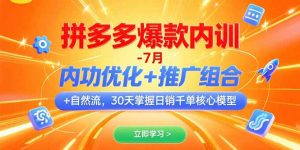 拼多多爆款内训-7月 内功优化+推广组合+自然流 30天掌握日销千单核心模型-柯南聊项目