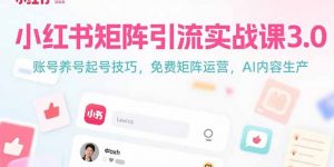 小红书矩阵引流实战课3.0：账号养号起号技巧，免裴矩阵运营，AI内容生产-柯南聊项目