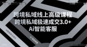 跨境私域线上高级课程，跨境私域极速成交3.0+Ai智能客服-柯南聊项目
