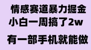 情感暴力掘金项目，新人操作一周挣了2W，长期稳定小白可做【揭秘】-柯南聊项目