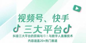 视频号、快手、抖音三大平台的剪辑与数字人直播技术，内容涵盖20+热门赛道-柯南聊项目
