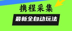携程信息采集全自动玩法，0风控，无脑开干【揭秘】-柯南聊项目
