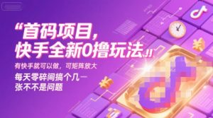 首码项目，快手全新0撸玩法，有快手就可以做，可矩阵放大，每天零碎时间搞个几张不是问题【揭秘】-柯南聊项目