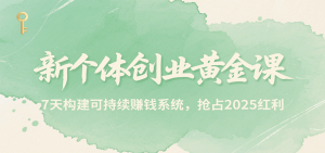 新个体创业黄金课，7天构建可持续赚钱系统，抢占2025红利-柯南聊项目