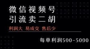 视频号卖二胡教程，利润大 易成交 售后少，一单利润5张+-柯南聊项目