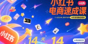 小红书虚拟电商速成课：个人定位分析，原创产品开发，14天变现路径规划-柯南聊项目