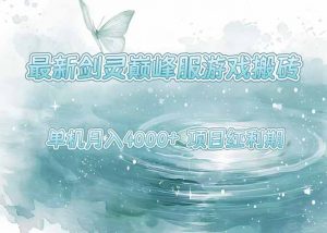 最新剑灵巅峰服游戏搬砖,项目红利期,单机稳定4000+操作简单好上手-柯南聊项目