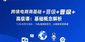 跨境电商基础+晋级+高级课：基础概念解析,Tk私域涨粉技巧,AI客服系统搭建-柯南聊项目