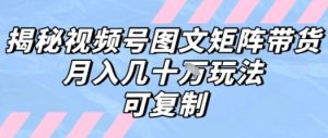解密视频号图文矩阵带货，月入几个W的打法，可复制-柯南聊项目