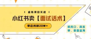 小红书虚拟项目掘金，卖面试话术资料，单店纯利20W+(附爆款笔记制作方法)-柯南聊项目