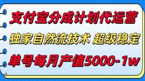 支付宝分成计划代运营，独家自然流技术，收益稳定，单号月产5000＋-柯南聊项目